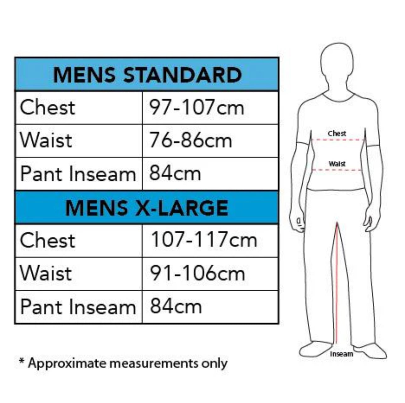 CAPTAIN AMERICA ADULT COSTUME (STANDARD SIZE)