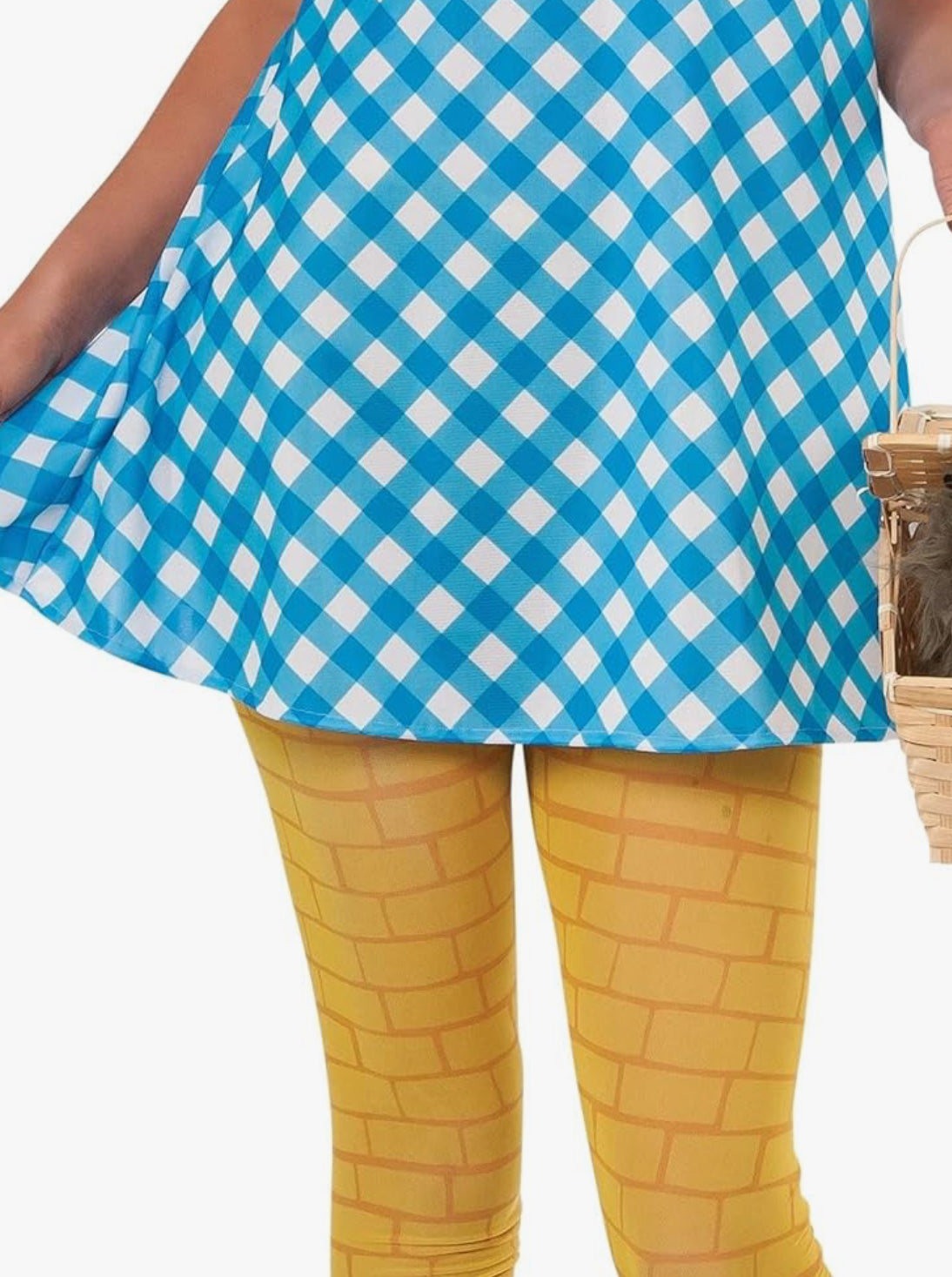 WIZARD OF OZ DOROTHY COSTUME (SIZE SMALL)
