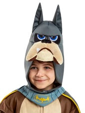 DC LEAGUE OF SUPER PETS ACE THE HOUND CHILD COSTUME (3-4 YEARS)