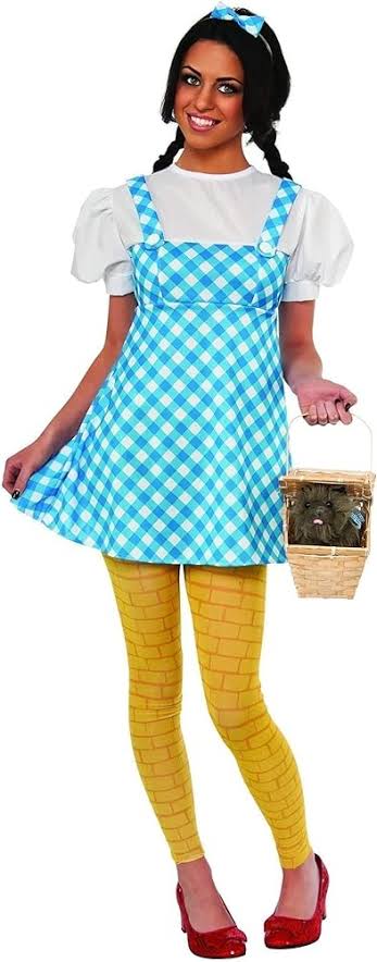 WIZARD OF OZ DOROTHY COSTUME (SIZE SMALL)