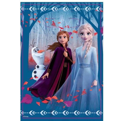 Frozen 2 loot bags