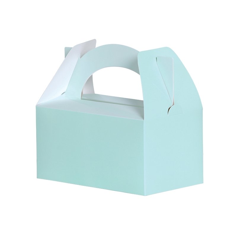 FS PASTEL MINT GREEN LUNCH/TREAT BOXES (PACK OF 5)