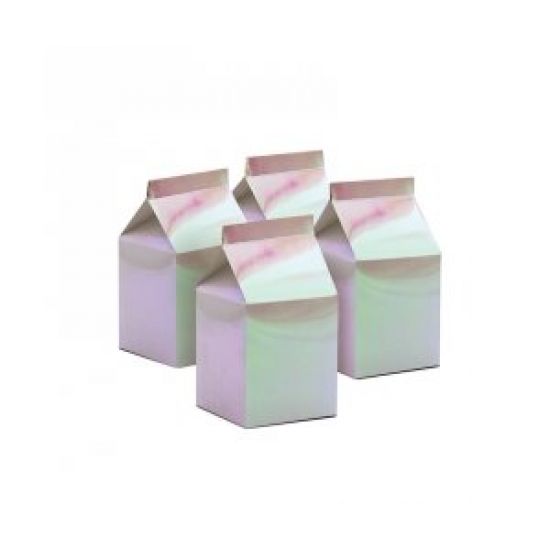 FS IRIDESCENT MILK BOX PARTY FAVOURS (PACK OF 10)