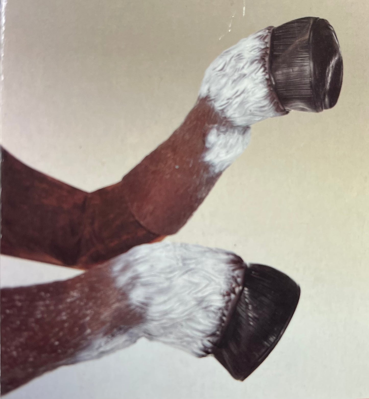 HORSE HOOVES
