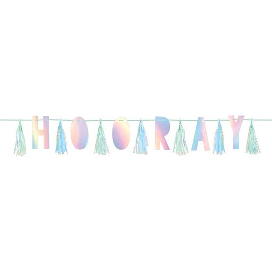 Iridescent Hooray Tassel Garland
