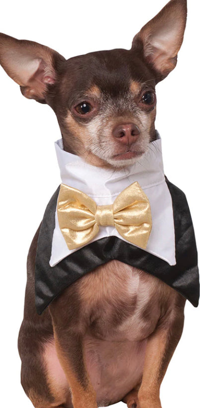 Tuxedo bandana dog medium-large costume