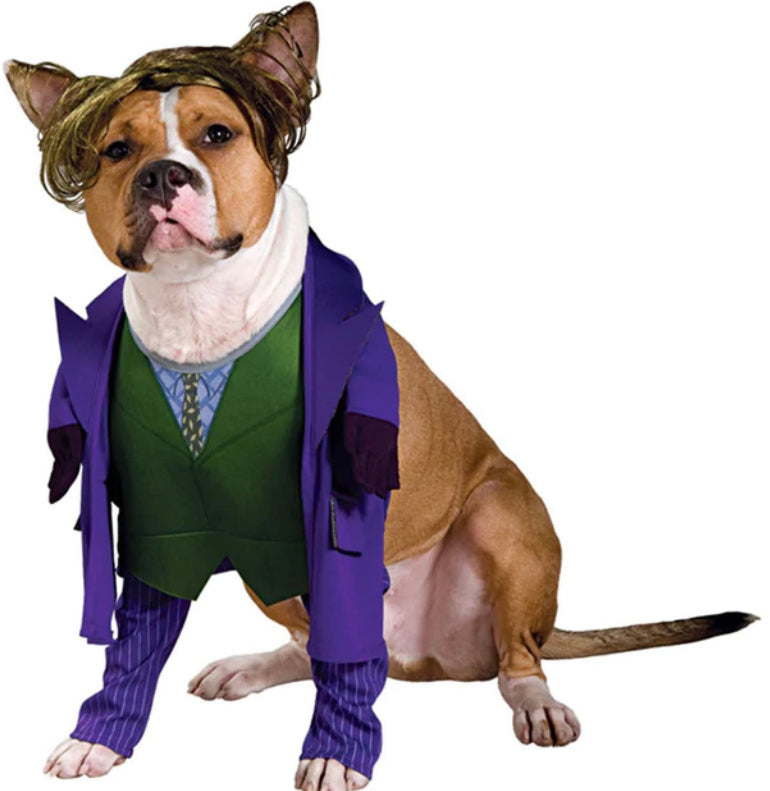 The dark knight “the joker” large dog costume