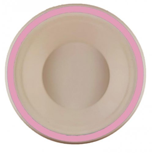 Sugarcane Bowls 160mm Light Pink P10