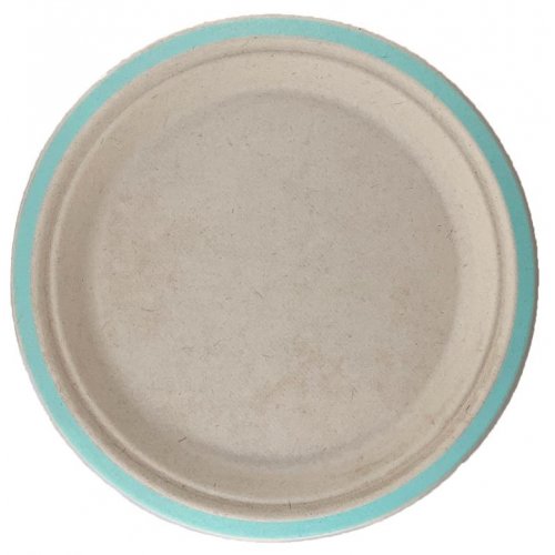 Sugarcane Dinner Plates 230mm Mint Green 10 pack