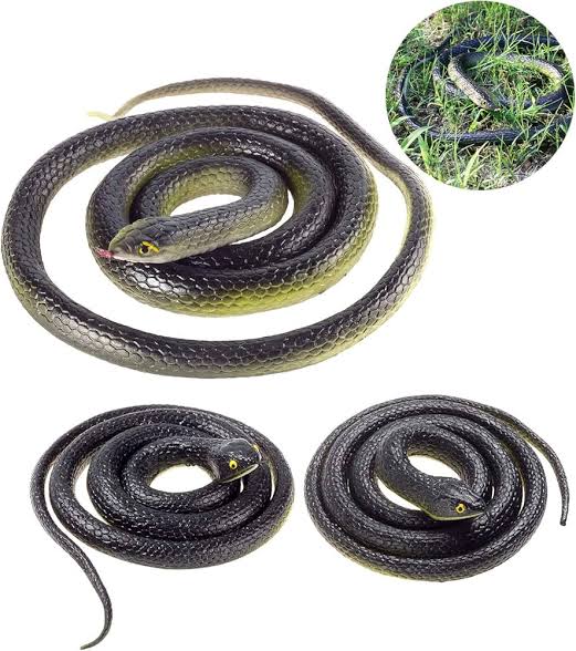 Rubber Snake