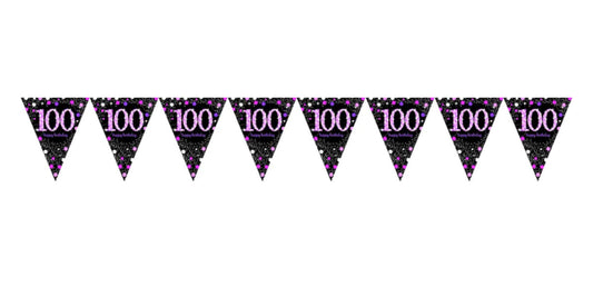 SPARKLING CELEBRATION 100TH BIRTHDAY FLAG BANNER