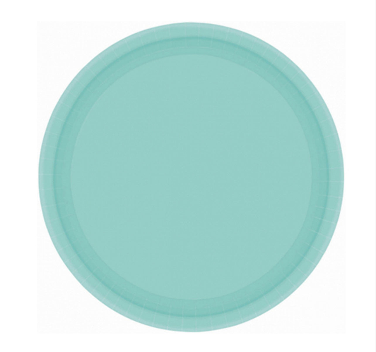 ROBINS EGG BLUE ROUND PAPER PLATES 23CM (PACK OF 20)