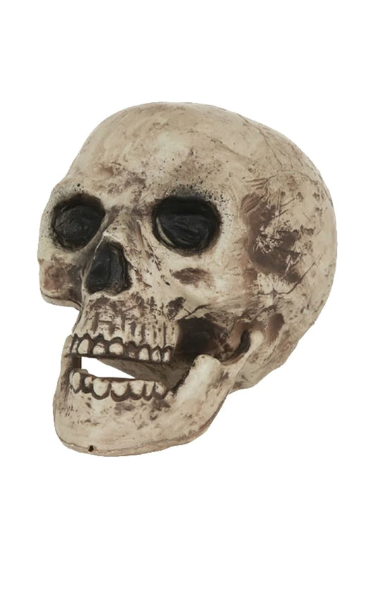 SKULL HALLOWEEN DECORATION